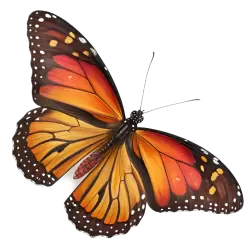 Imagen PNG para descargar